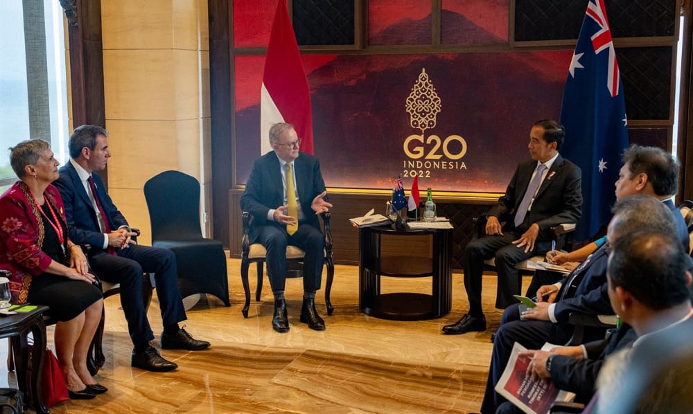 Anthony Albanese meeting with Joko Widodo in Bali on the sidelines of the G20 (@AlboMP/Twitter)