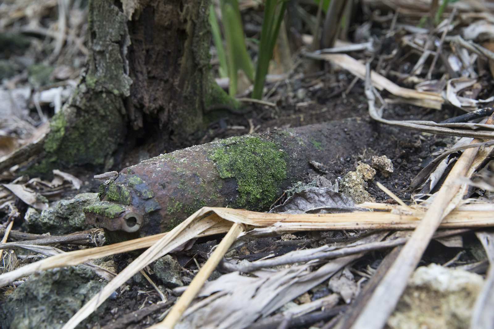 A 75mm high-explosive projectile from the Second World War found in a remote part of Solomon Islands during Operation Render Safe 2016 (Defence Department)