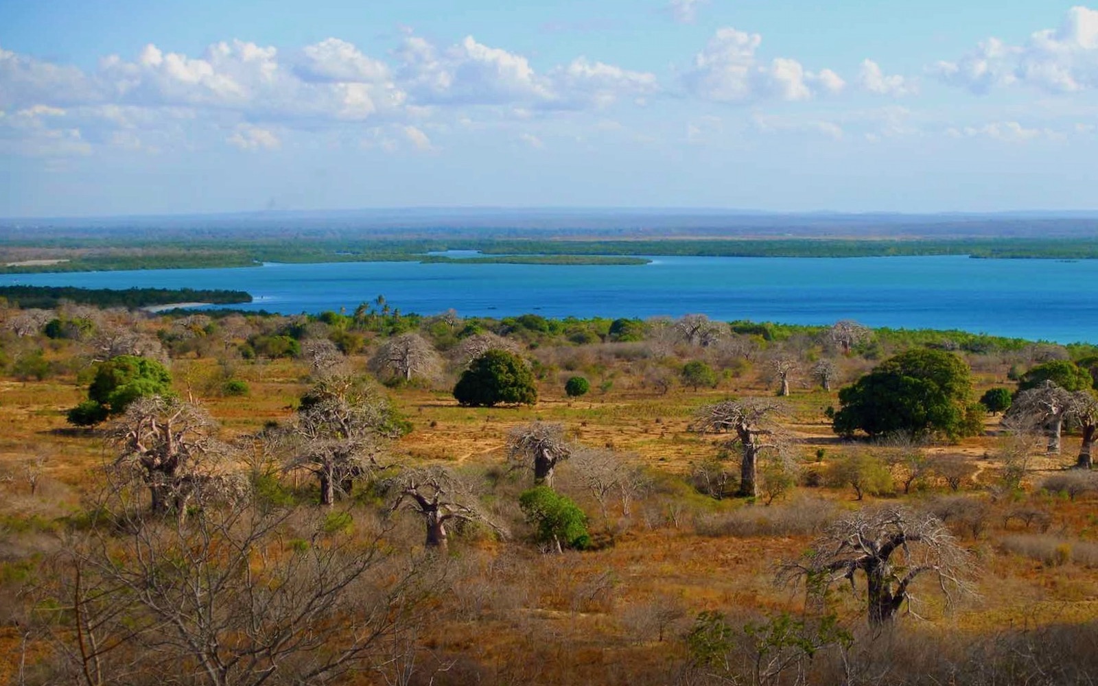 Pemba Bay in Cabo Delgado, Mozambique (F Mira/Flickr)