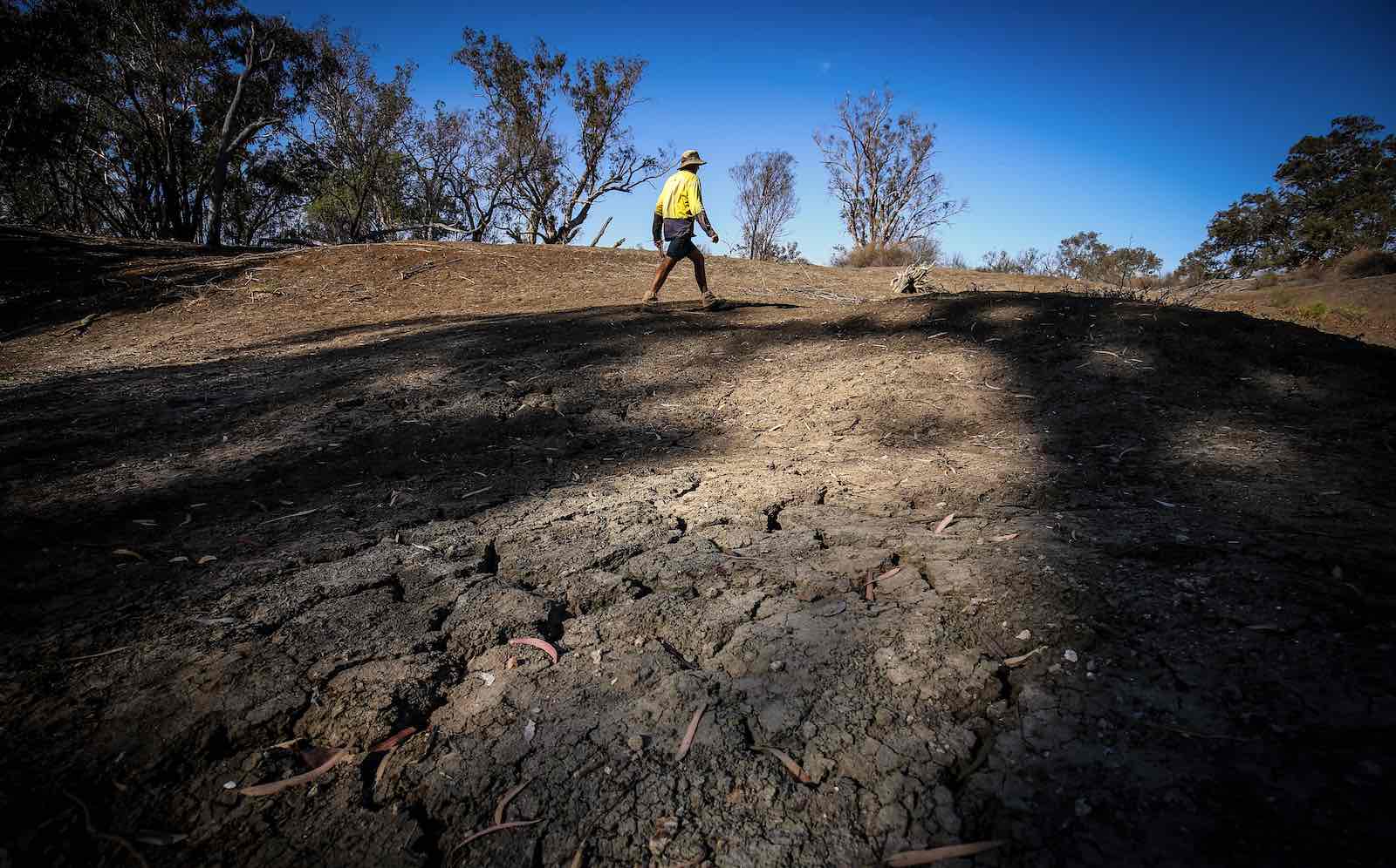 A farmer walks in the dried-up bed of the Namoi River near Walgett, NSW, 6 October. Severe drought and alleged mismanagement of water resources have led to the steady decline of rivers across the Murray-Darling Basin (Photo: David Gray/Getty Images)