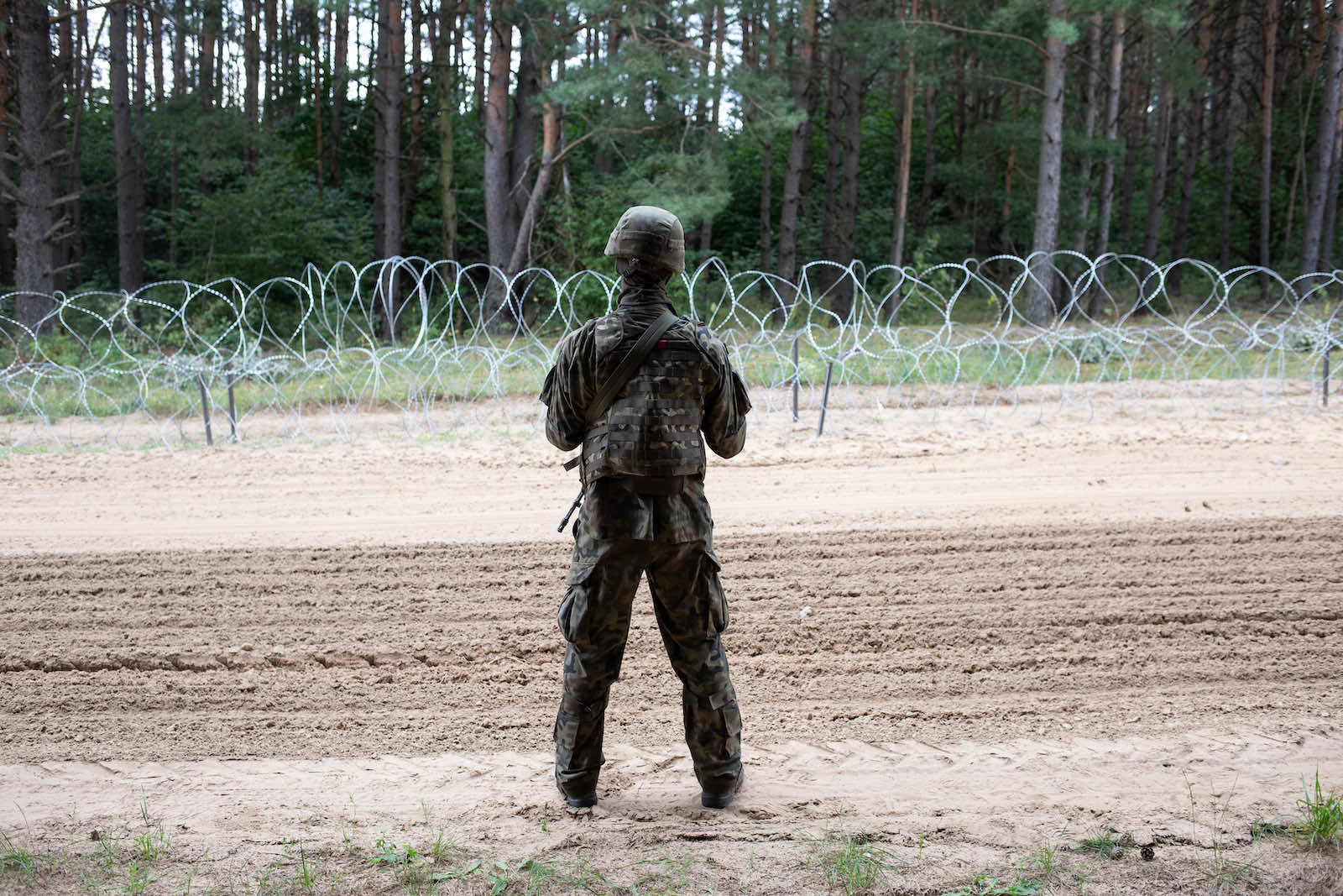 Razor wire fencing is thrown up along the Poland-Belarus border in August as migrant numbers surge (Maciej Moskwa/NurPhoto via Getty Images)