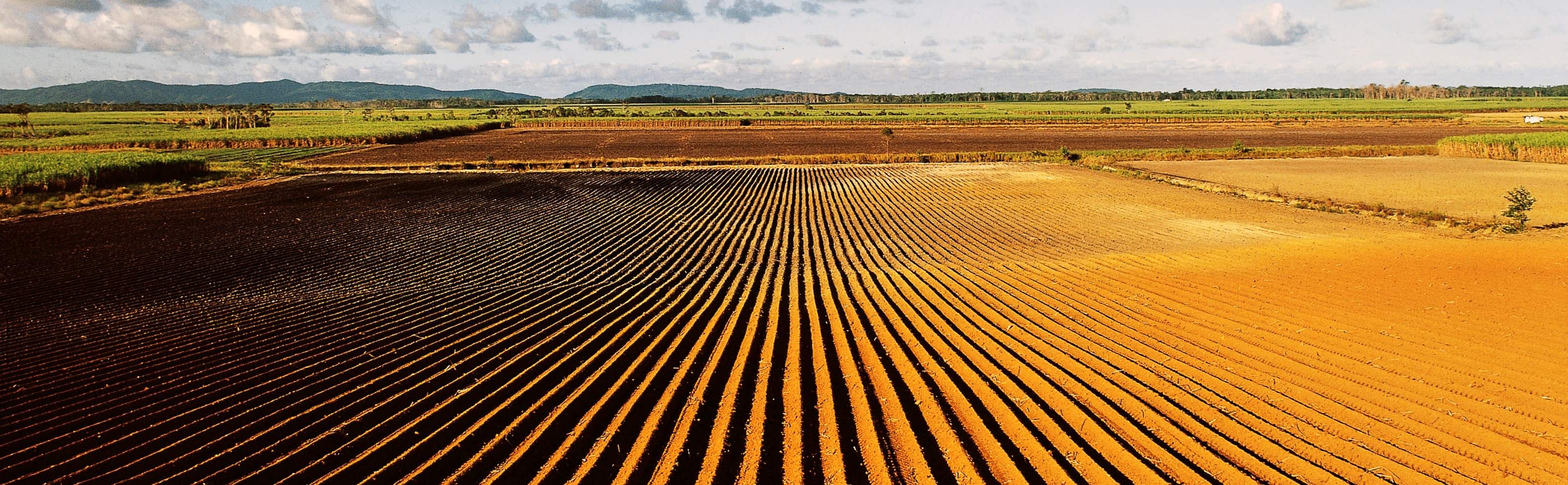 Fields ploughed for planting sugarcane in Queensland, Australia (Photo: DeAgostini/Getty Images)