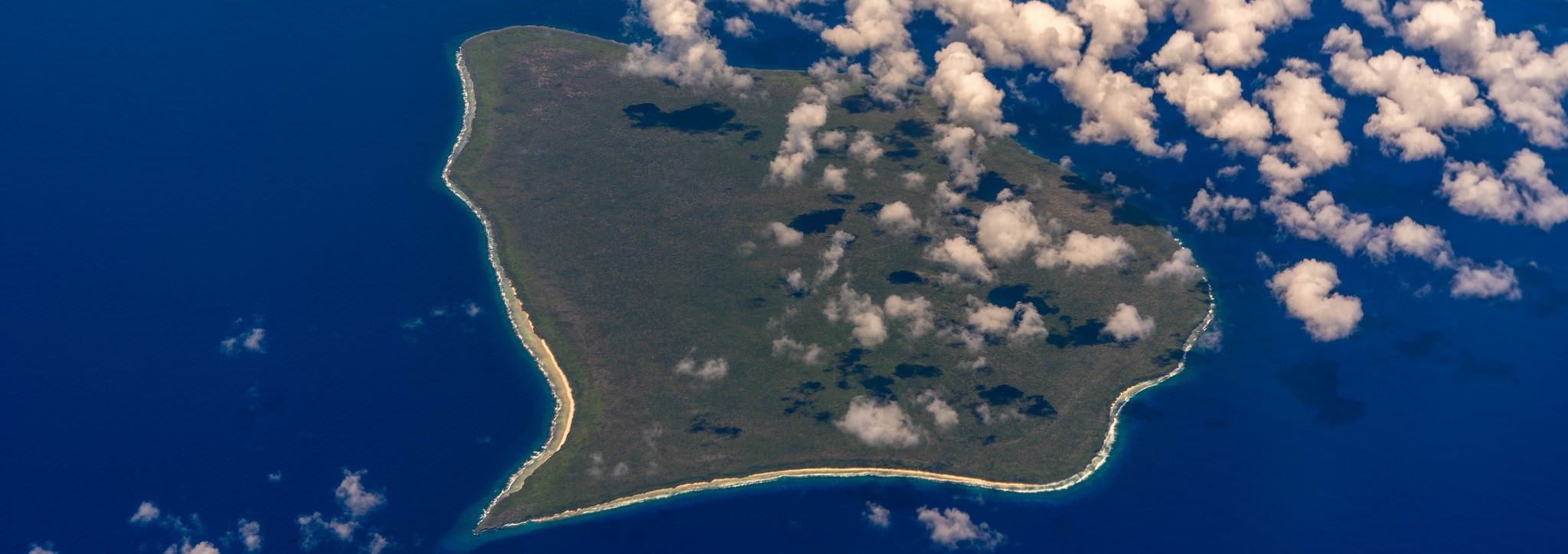 Henderson Island (Flickr/Robert Levy)