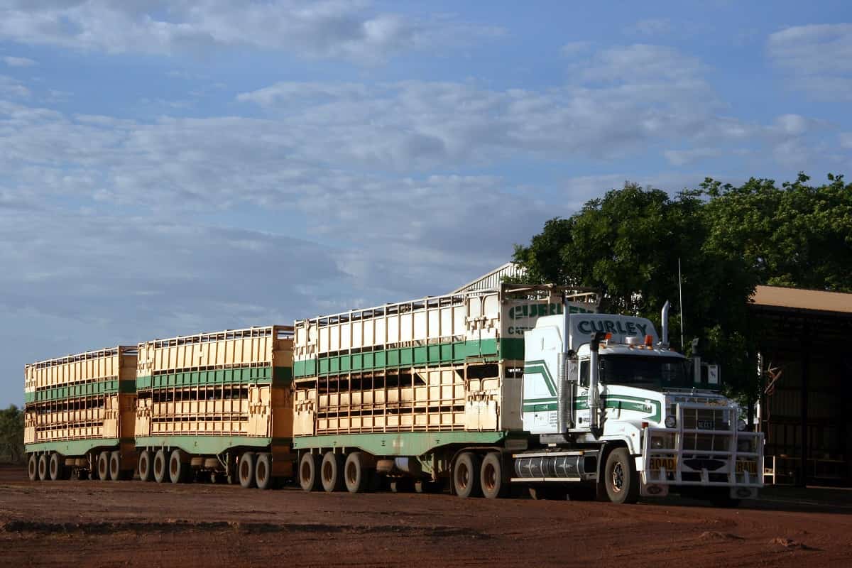 The Chinese government-imposed import restrictions and discriminatory purchasing measures on commodities including frozen beef accounted for around 13 per cent of China’s imports from Australia in 2019 (Curley Cattle Transport/Flickr)