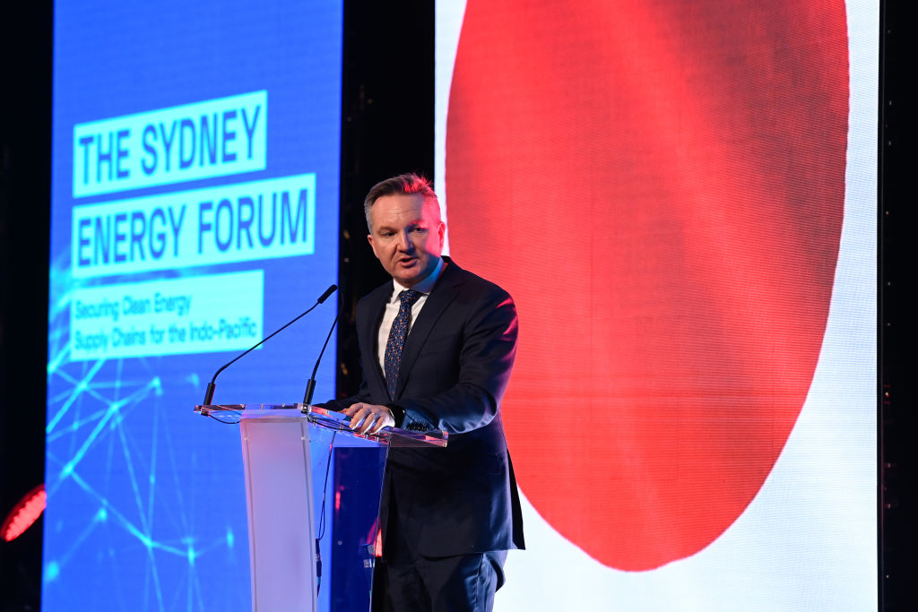 Australian Minister for Climate Change and Energy Chris Bowen speaks during the Sydney Energy Forum in July 2022 (Jaimi Joy via Getty Images)