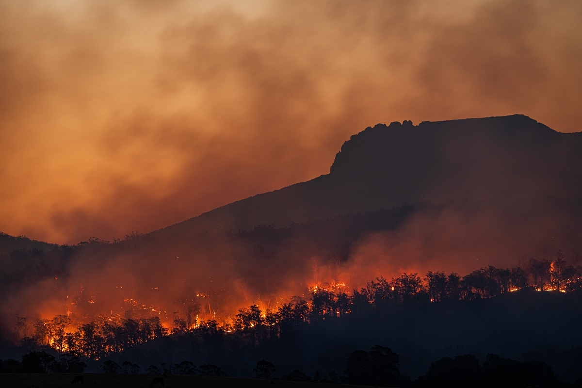 Tasmanian bush fires 2021 Matt Palmer/Unsplash