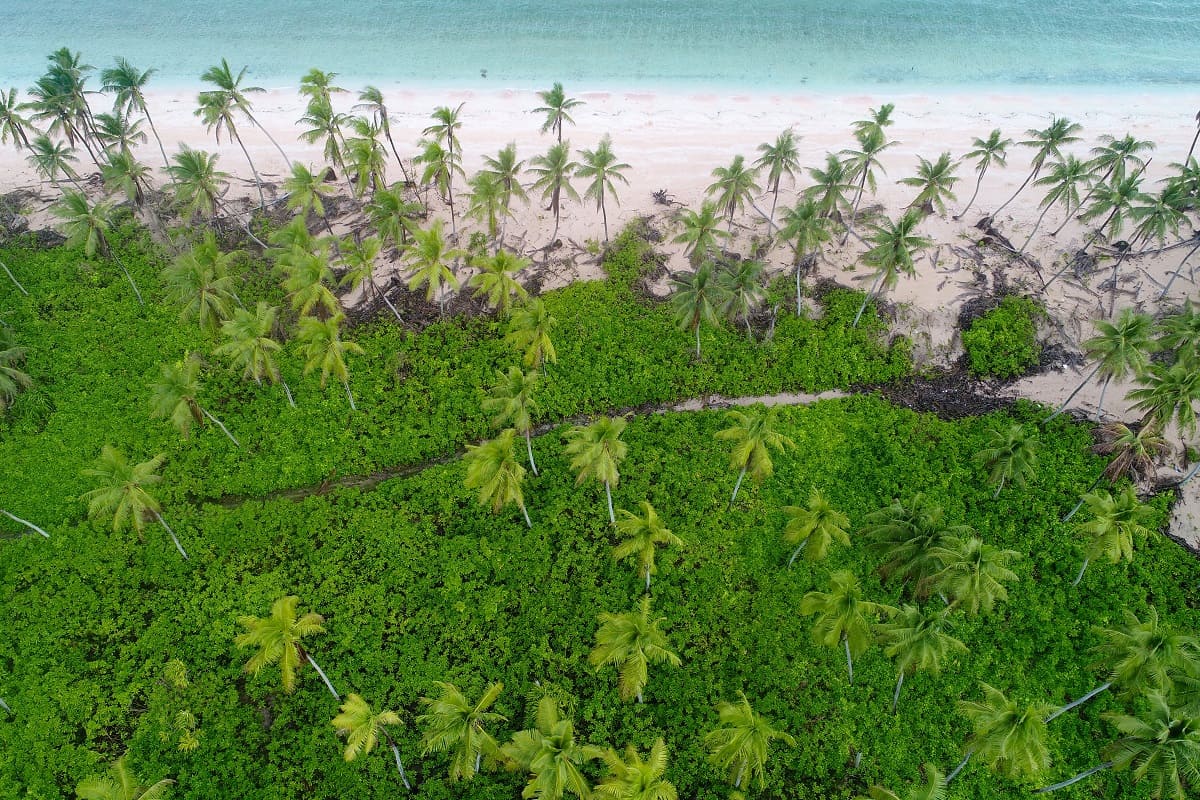 Climate change threatens traditional knowledge systems, cultural heritage and access to ancestral land and resources, with Pacific examples including the eroding coastal graveyards in Tuvalu (TCAP/UNDP​​​​​​​/Flickr)
