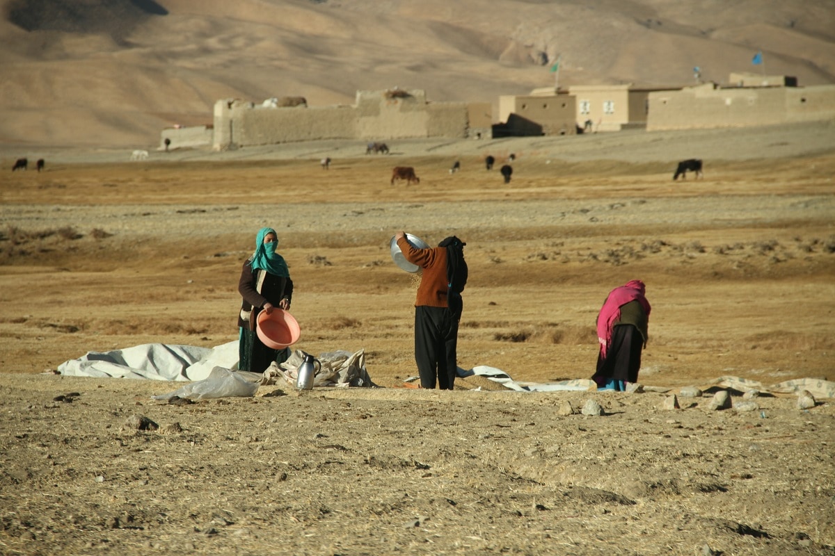 Women in Afghanistan Farid Ershad/Unsplash
