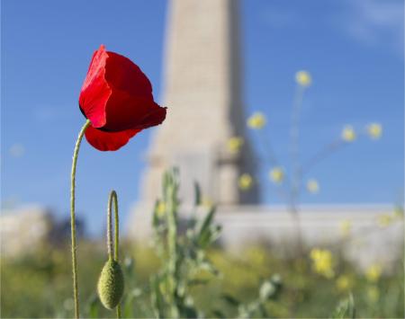 105 years on, a digital commemoration marks a very different Anzac Day