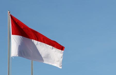 The Indonesia Investment Authority: Jokowi’s trouble-shooter?
