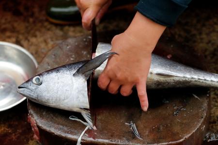 What Vietnam can learn from Thailand’s fight against illegal fishing