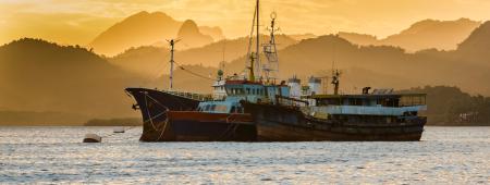 Conserving the Pacific’s fish stocks