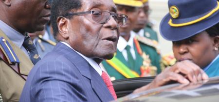 Australia could offer Robert Mugabe a safe haven in exile