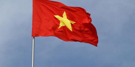 Vietnam: a month of mass protests