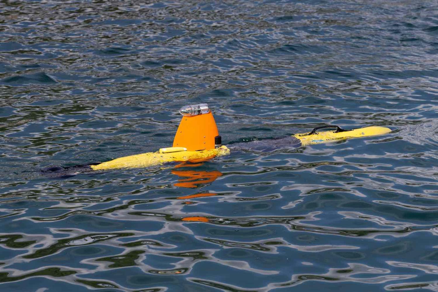 The Gavia Autonomous Underwater Vehicle, remotely piloted by the Australian Mine Warfare Team (Department of Defence)