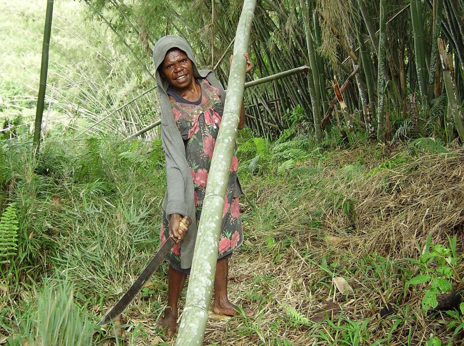Rosalyn Ögate fells bamboo planted by her father, Ögate, in the Uruwa area, Saruwaged Mountains, PNG (Hannah Sarvasy)