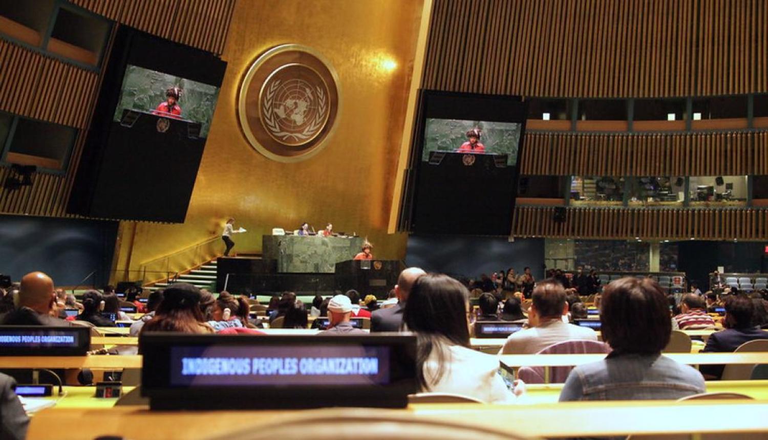 The upcoming session of the UN Permanent Forum on Indigenous Issues in New York in April will be an early opportunity to set the tone of the ambassador’s engagement with Indigenous Australians as well as with foreign counterparts (UN Photo)