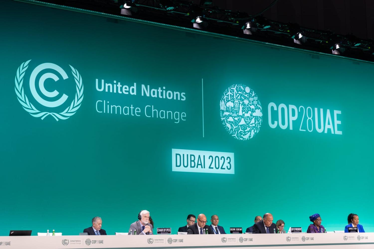COP28 Opening Plenary on 30 November (UNFCCC/Flickr)