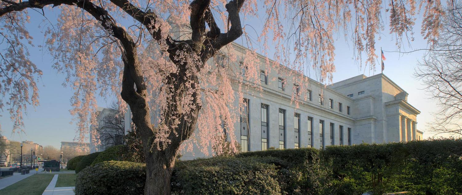 Cherry blossoms in front of the US Federal Reserve's Marriner S. Eccles Building (Photo: Federal Reserve/Flickr)