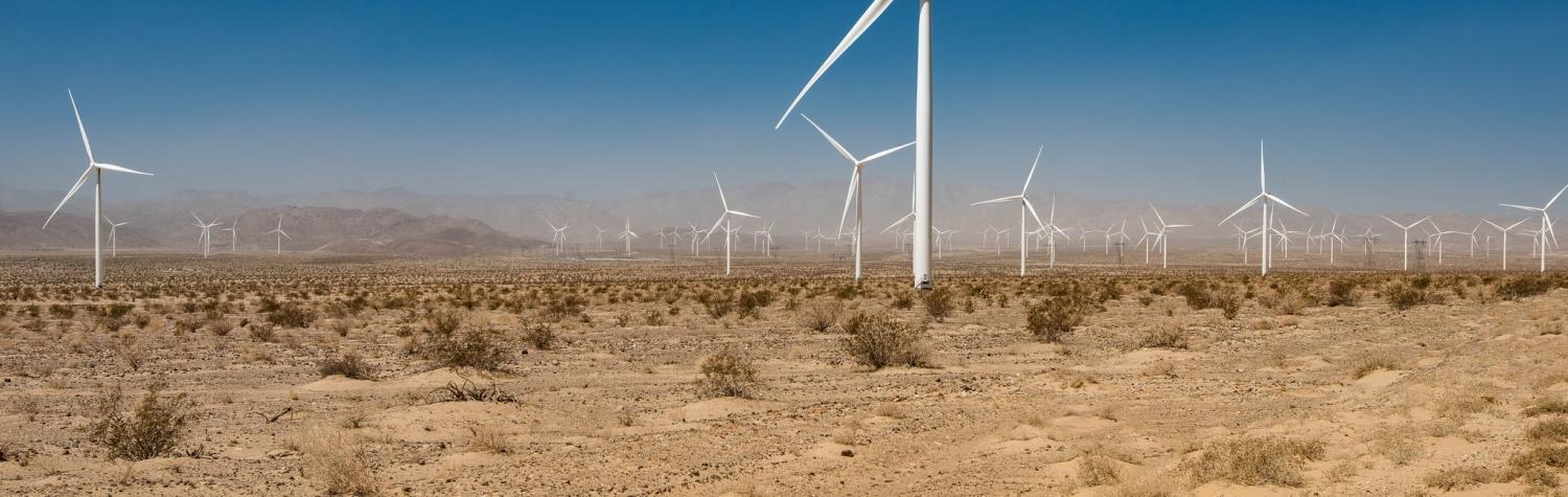 The Ocotillo wind farm in California, July 2016 (Photo: Daxis/Flickr)