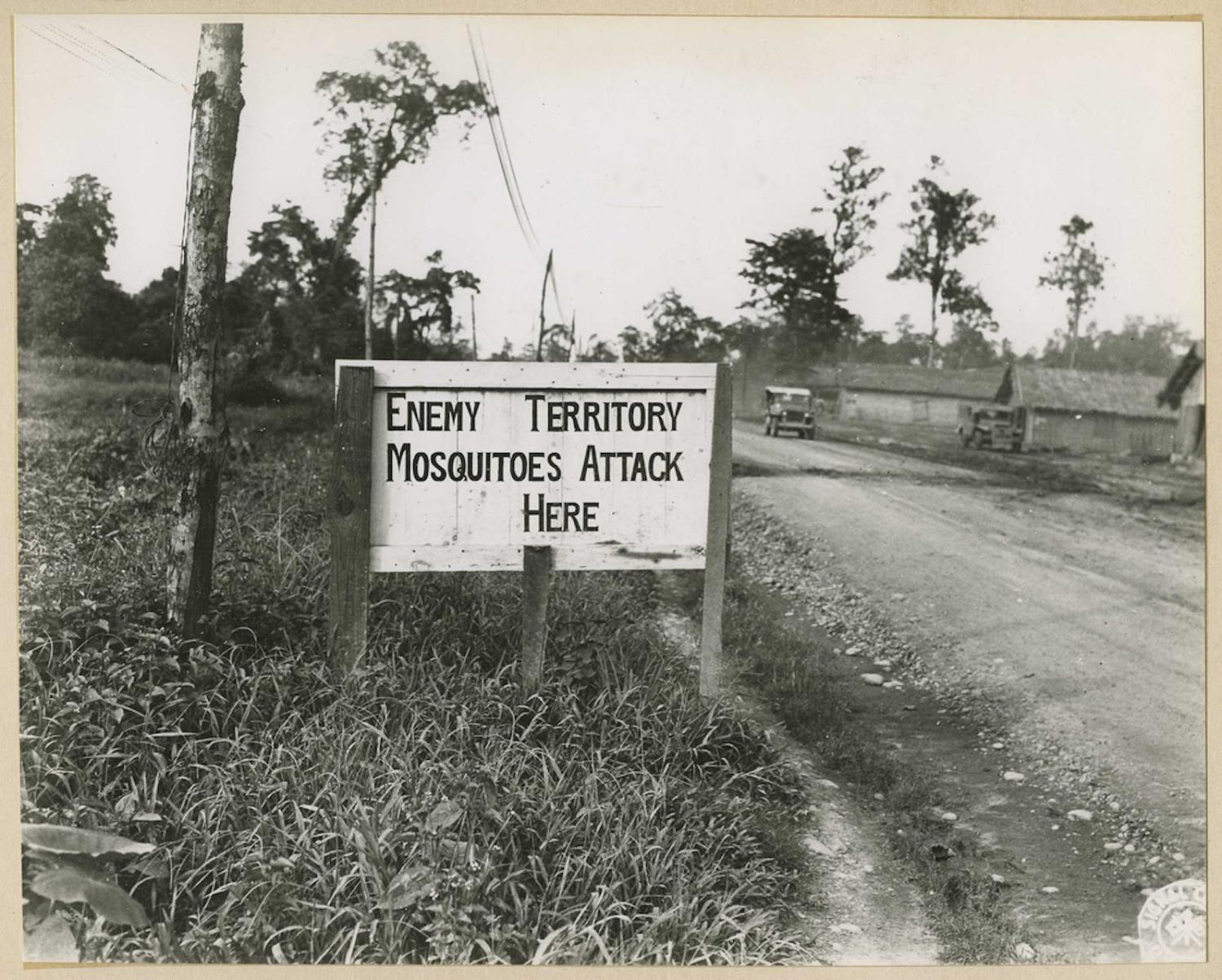 Malaria control efforts during the Second World War (Photo: National Museum of Health and Medicine/Flickr)