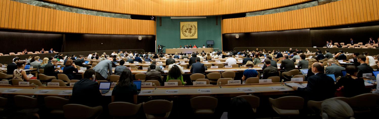 Talks on the Global Compact on Migration (Photo: UN Geneva/Flickr)