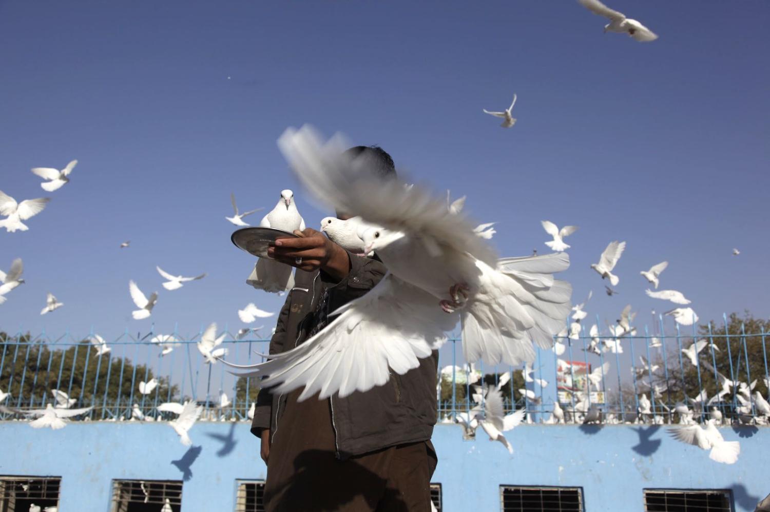 A man feeds the doves at the Imam Ali Shrine in Mazar-e Sharif, Afghanistan, 29 October 2019 (Photo: UNAMA/Flickr)