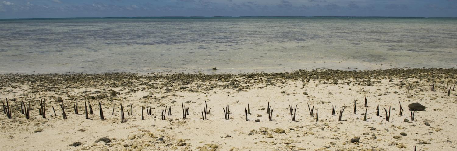 Climate change effects in Tarawa, an atoll in Kiribati (Photo: United Nations photo/ Flickr)