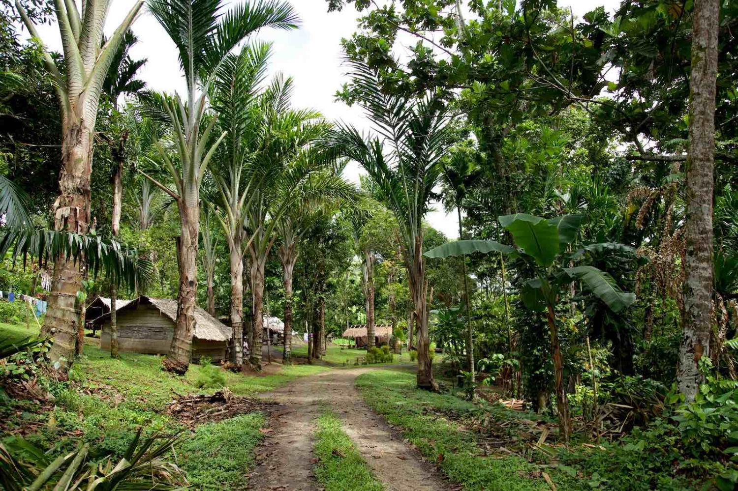 Village on Buka Island, Bougainville (Jeremy Weate/Flickr)