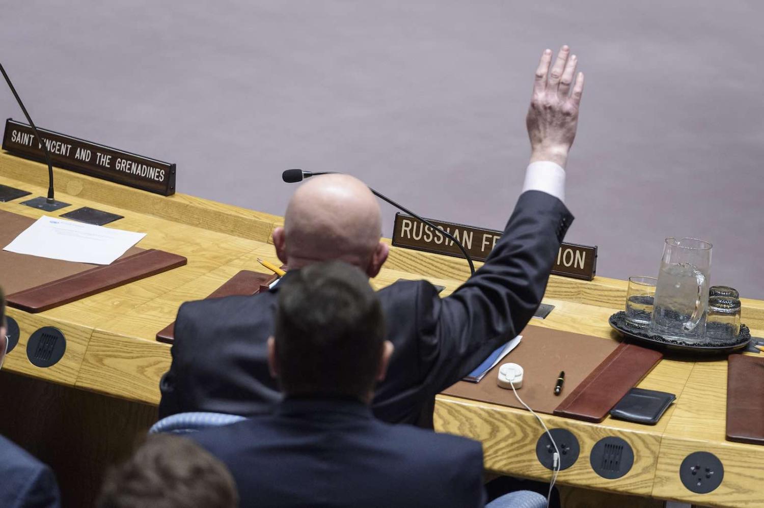 Russia has now vetoed 14 resolutions on the Syrian crisis (Loey Felipe/UN Photo)