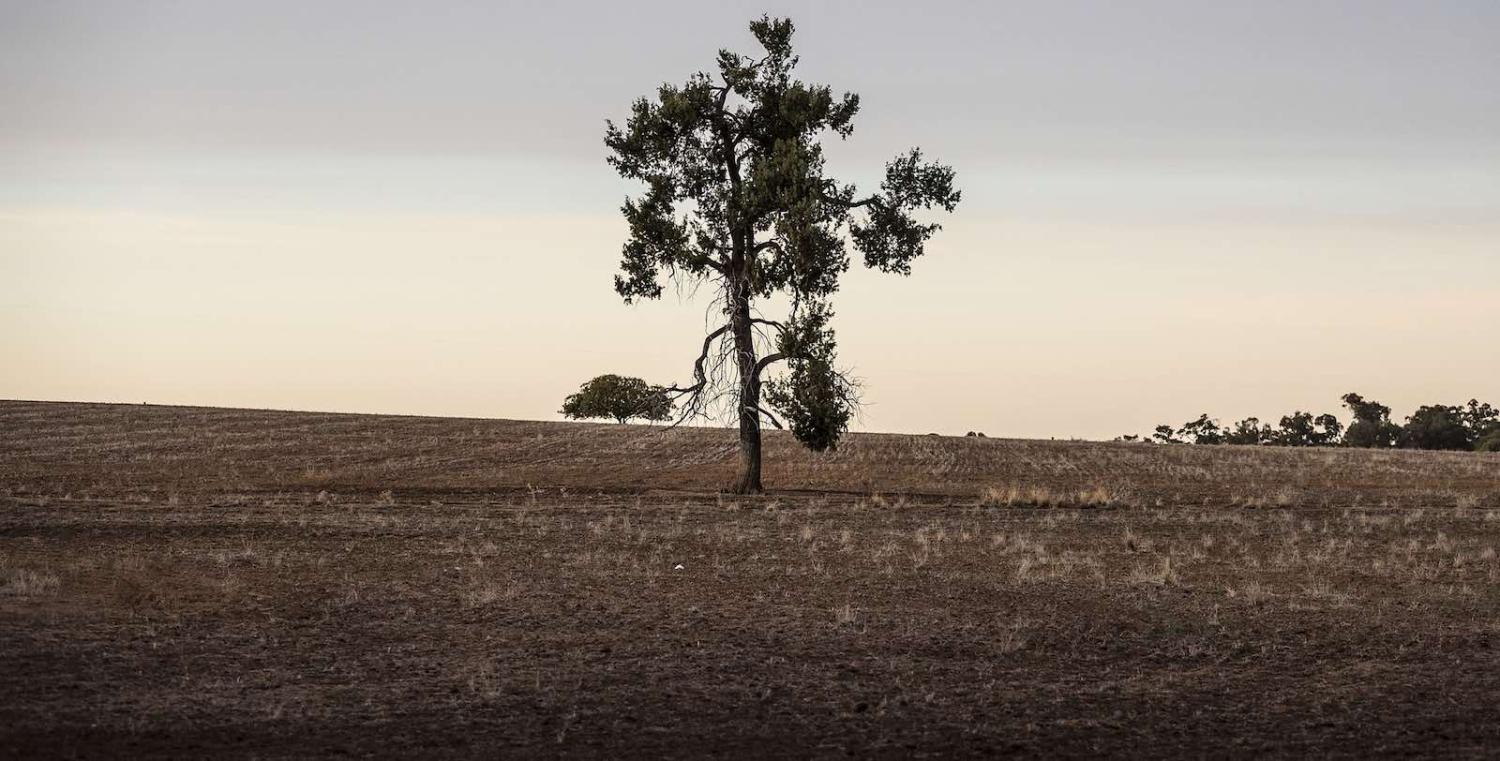 The dry lands near Coonabarabran, New South Wales, Australia, in June (Photo: Brook Mitchell/Getty)