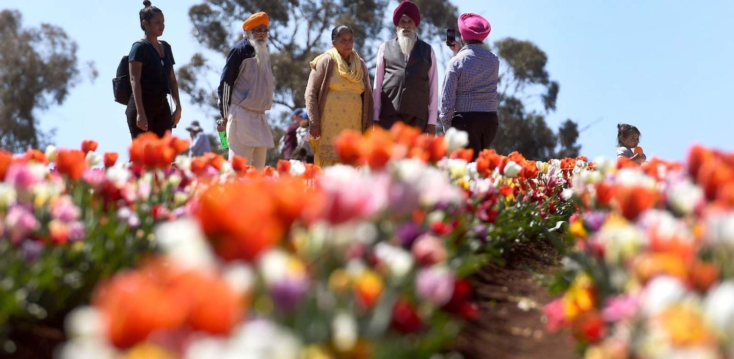 Visitors to the Tesselaar Tulip Festival at Silvan in the Dandenong Ranges on the outskirts of Melbourne, 27 September 2018 (Photo: William West via Getty)