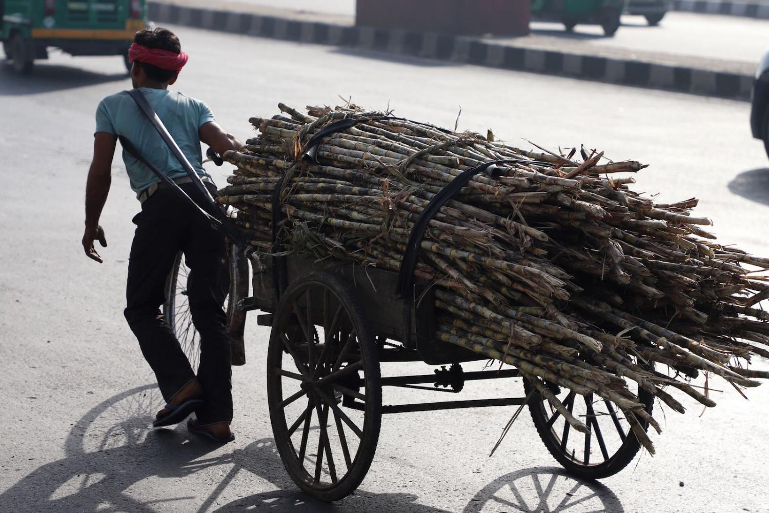 After the harvest, sugarcane in New Delhi in March (Photo: filled with sugarcane in New Delhi, India, on 29 March 2019. (Photo by Nasir Kachroo via Getty)