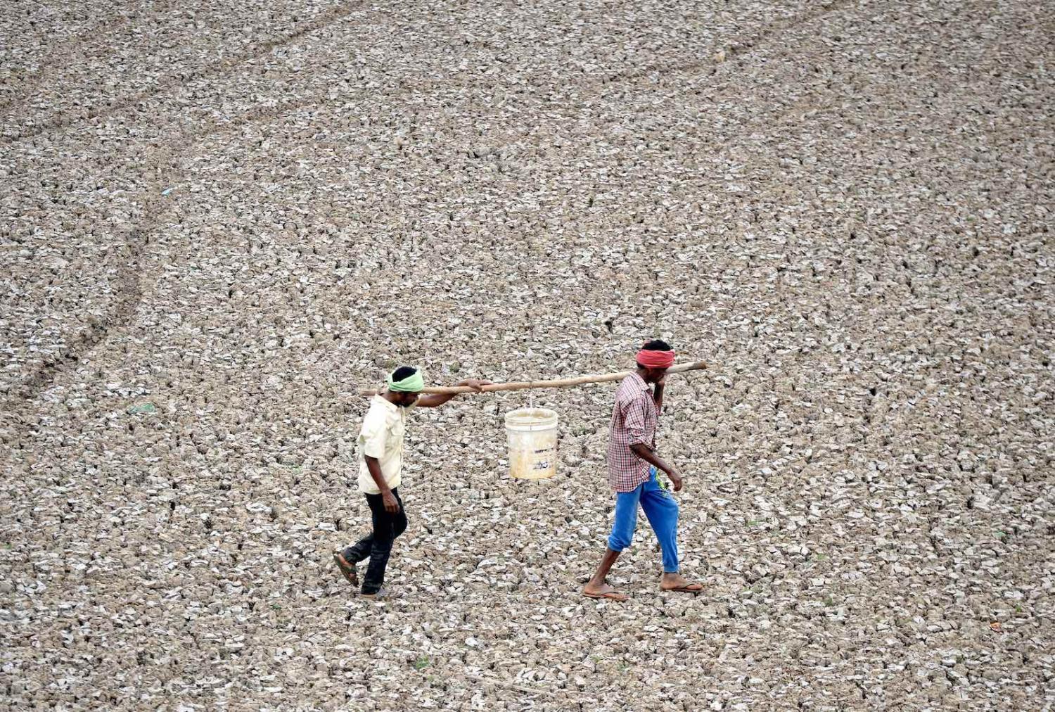 Carrying the last water from a pond in the dried-out Puzhal reservoir on the outskirts of Chennai (Photo: Arun Sankar via Getty)