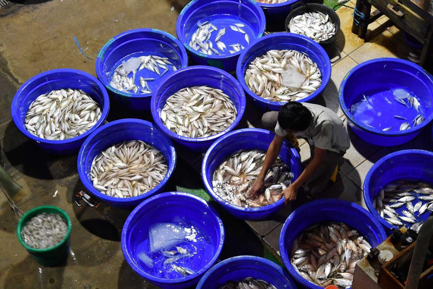 Muara Baru fish market in Jakarta (Photo: Adek Berry/AFP/Getty Images)