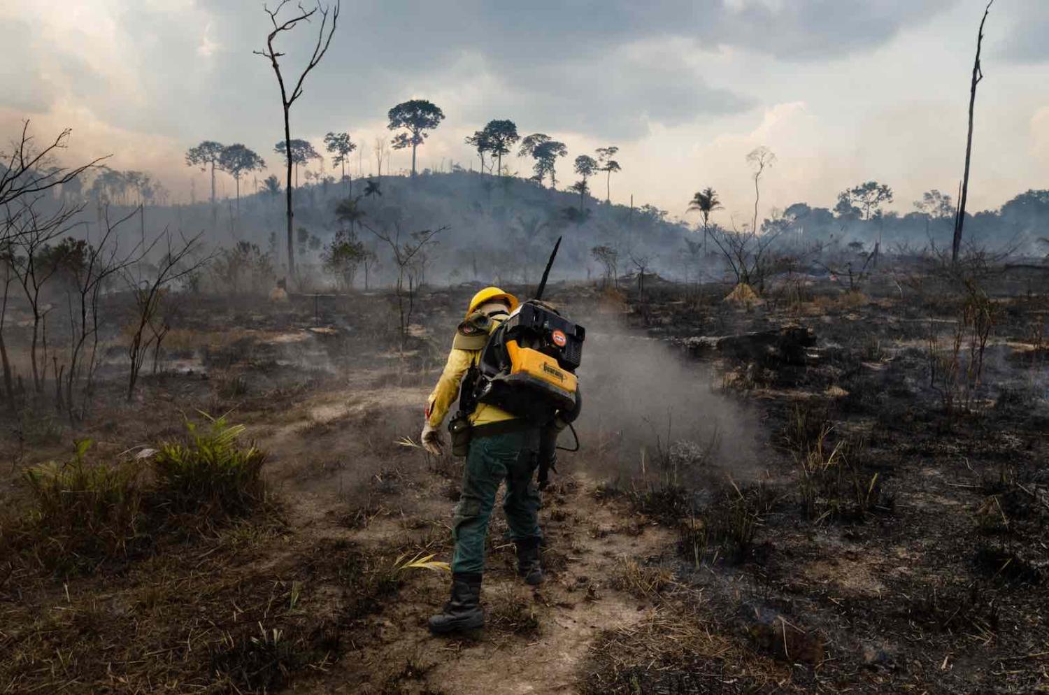 A member of the forest fire brigade fights burning in the Amazon, in Para state, northern Brazil,  September 2019 (Gustavo Basso/NurPhoto via Getty Images)