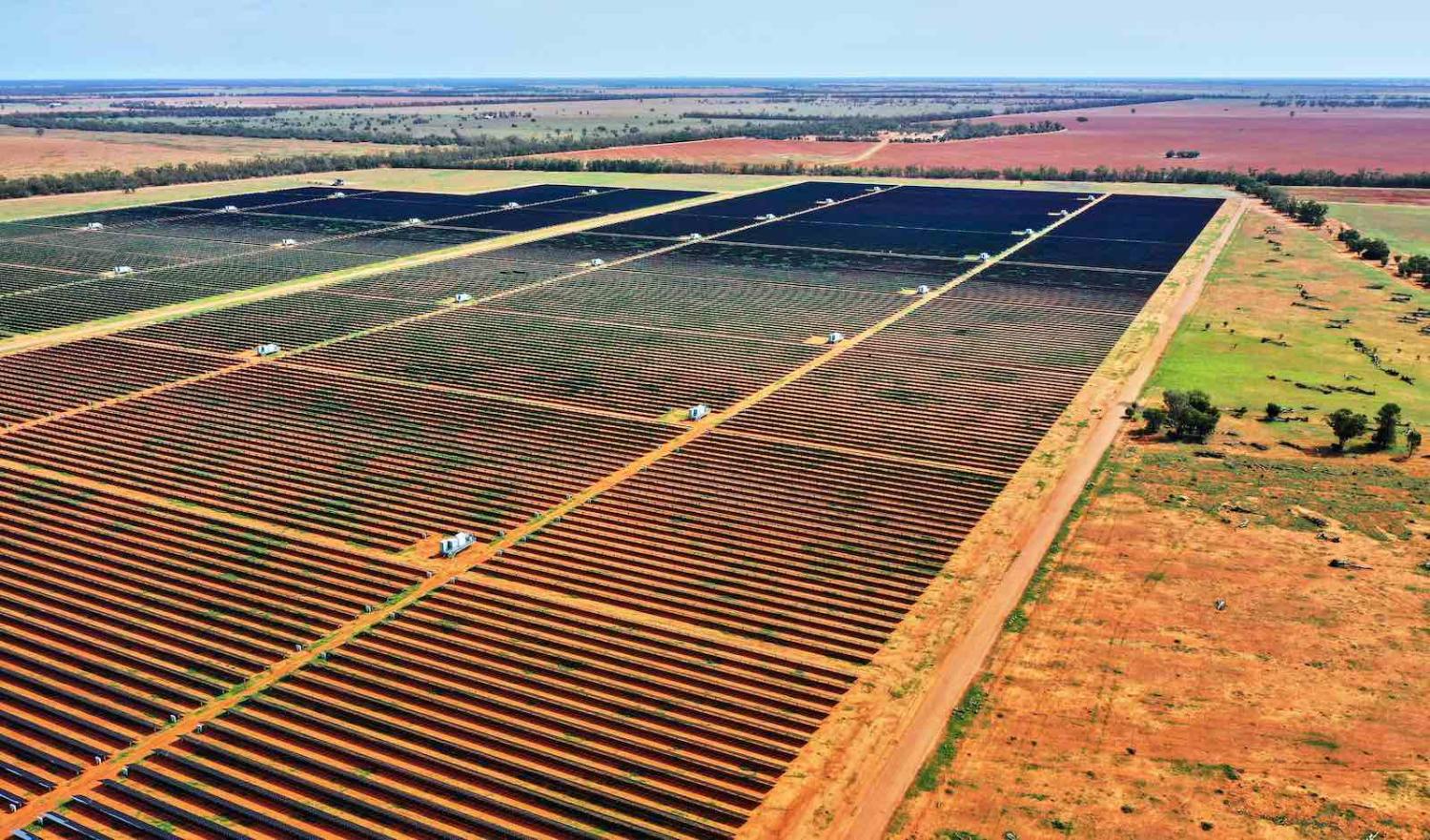 Solar farm in Nyngan, New South Wales (Andrew Merry/Getty Images)