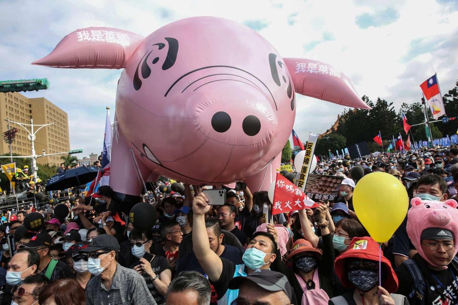 Marchers at the annual pro-labour “Autumn Struggle” protest against the lifting of restrictions on US pork containing ractopamine feed additive, Taipei, November 2020 (Hsu Tsun-hsu/AFP via Getty)