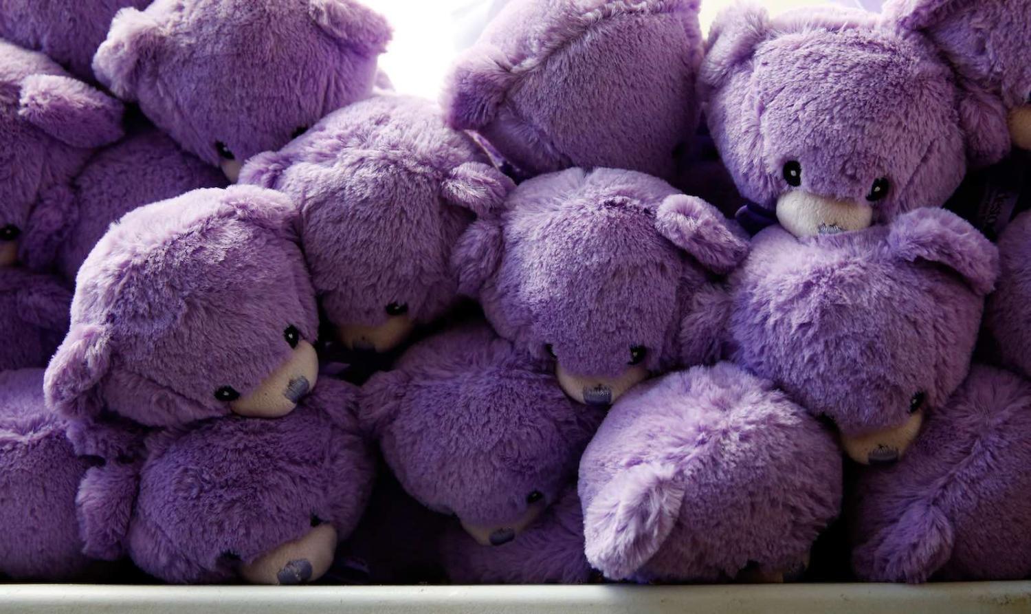 Lavender-stuffed teddy bears from Tasmania in Australia found a huge market in China (Photo: Brendon Thorne via Getty)