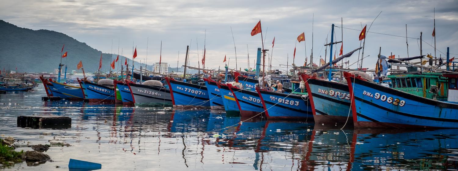Vietnamese fishing boats pictured in Thuan Phuoc port last year (Photo:  Linh Pham/Getty Images)