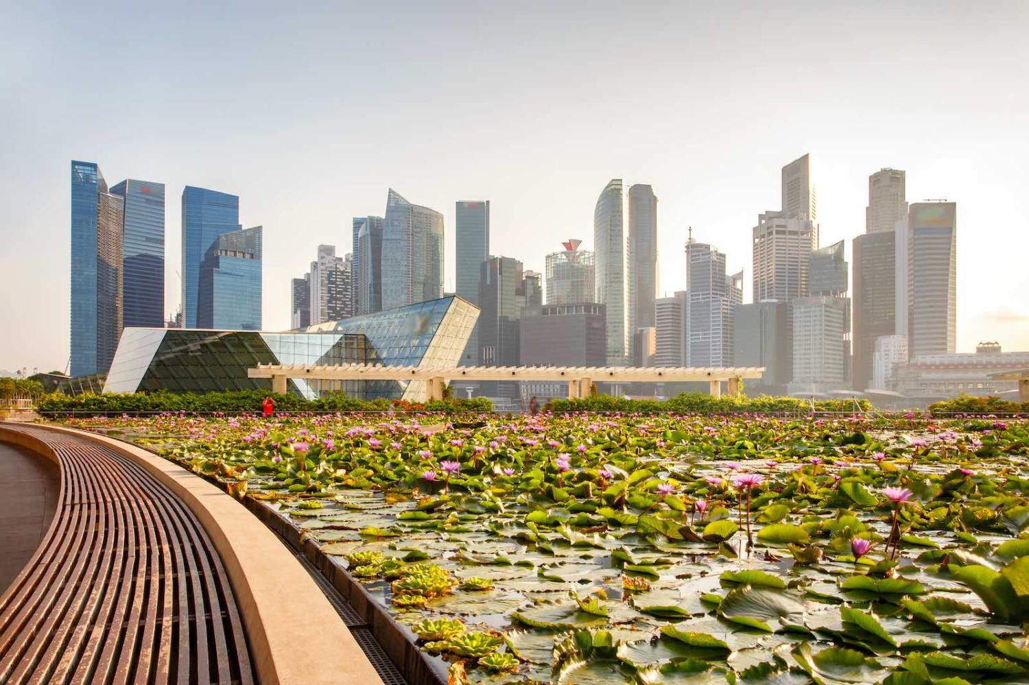 Singapore skyline (Pakin Songmor/Getty Images)