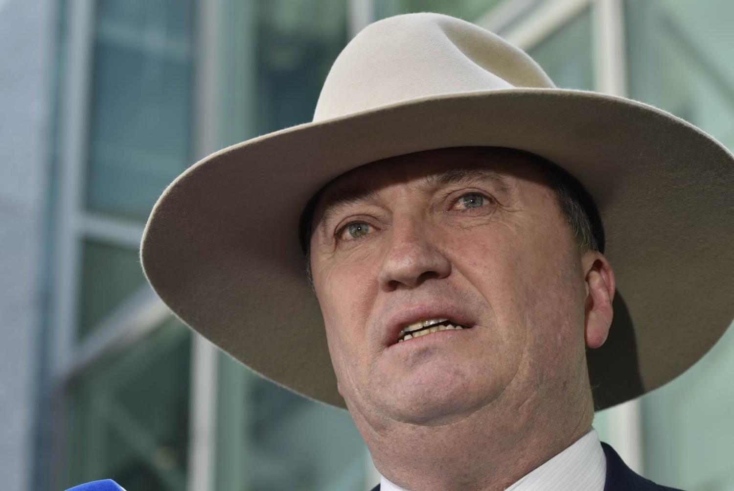 Nationals MP and former deputy prime minister Barnaby Joyce (Photo: Michael Masters/Getty Images)
