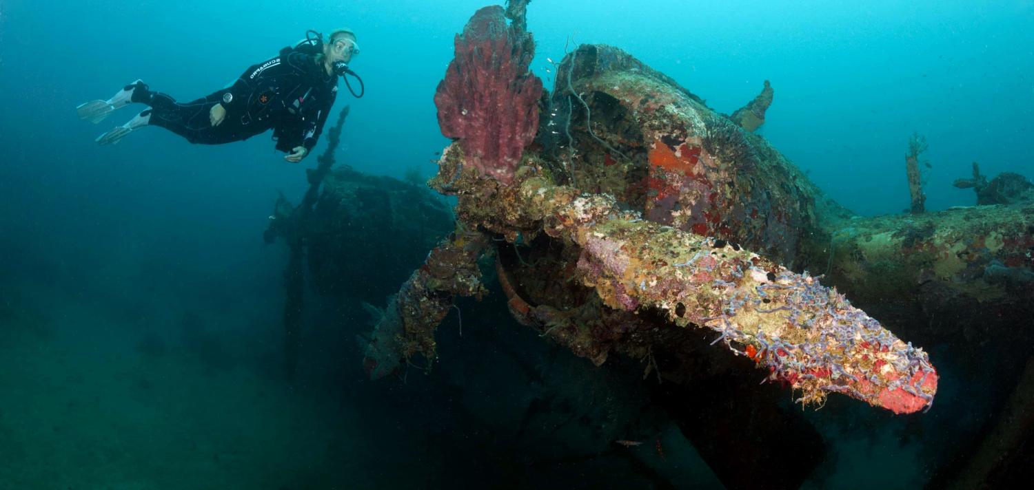 Kawanishi H6K5 Flyingboat Wreck, Nggela (Florida) Islands, Solomon Islands (Photo: Prisma Bildagentur/Getty)