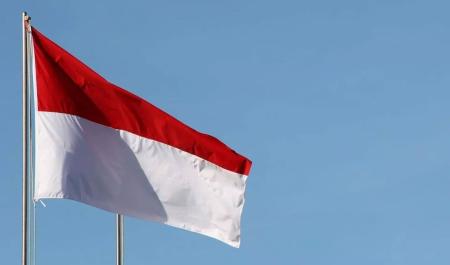 How to make Indonesia’s sovereign wealth fund work